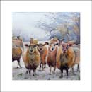CW-49-SQ Sheep in the Snow Card front 14.5 x 14.5cm approx.