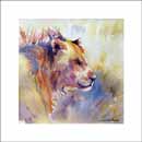 CW-70-SQ  'Lion-on-the-Prowl' Card front 14.5 x 14.5cm approx.