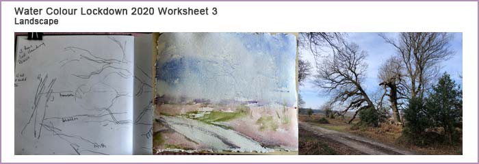 Worksheet 3 Landscape