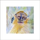 CW-46-SQ Monkey Card front 14.5 x 14.5cm approx.