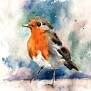 CW-93-SQx - Robin Card front 14.5 x 14.5cm approx.