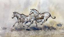 Zebras, 28x38